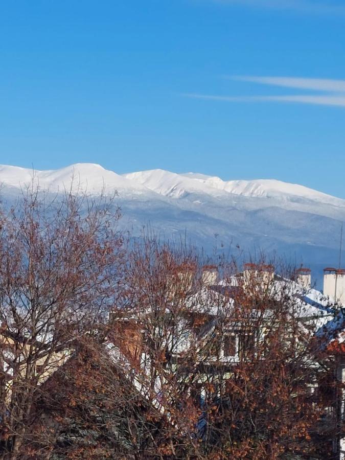Лукс Апартамент Bansko Bagian luar foto